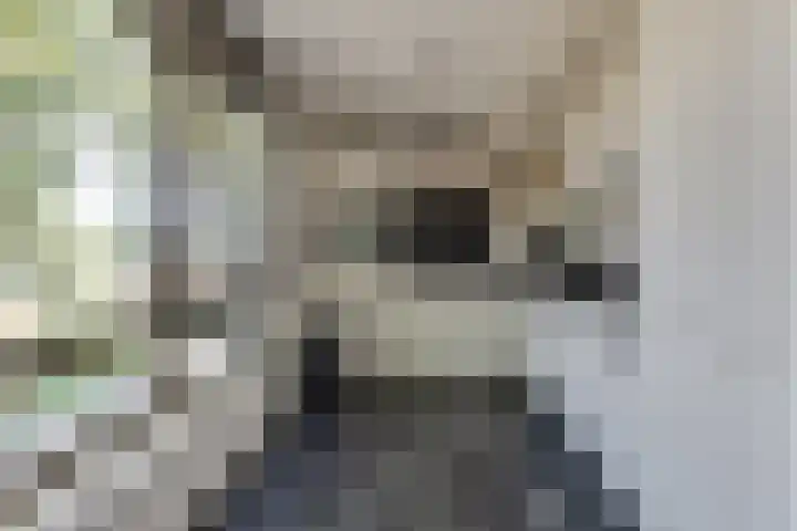 Den Koem 40 Groenlo thumbnail 20