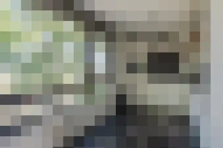 Den Koem 40 Groenlo thumbnail 21