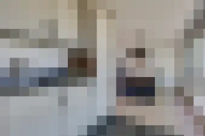 Den Koem 40 Groenlo thumbnail 24