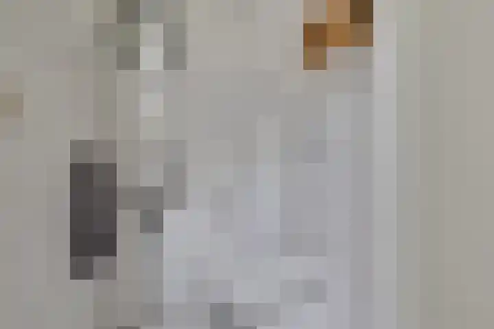 Den Koem 40 Groenlo thumbnail 47