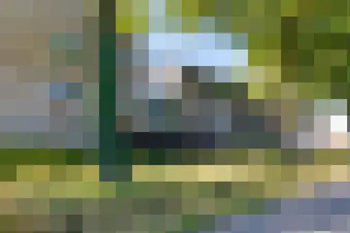 Den Koem 40 Groenlo thumbnail 5