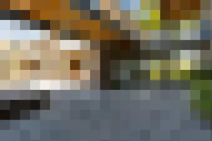 Den Koem 40 Groenlo thumbnail 51