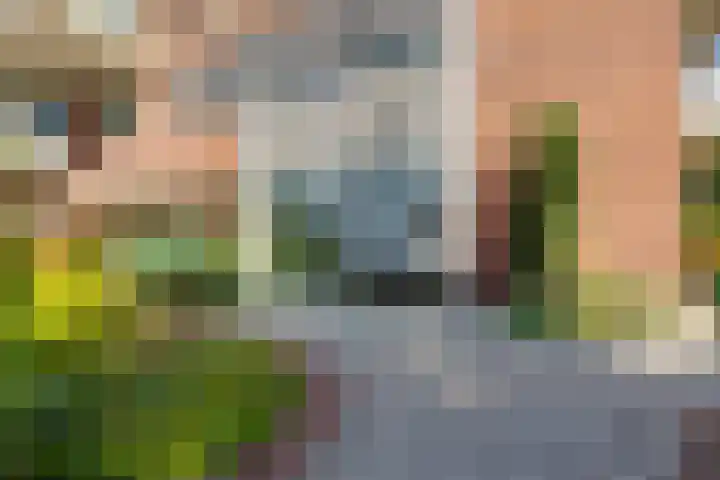 Den Koem 40 Groenlo thumbnail 53
