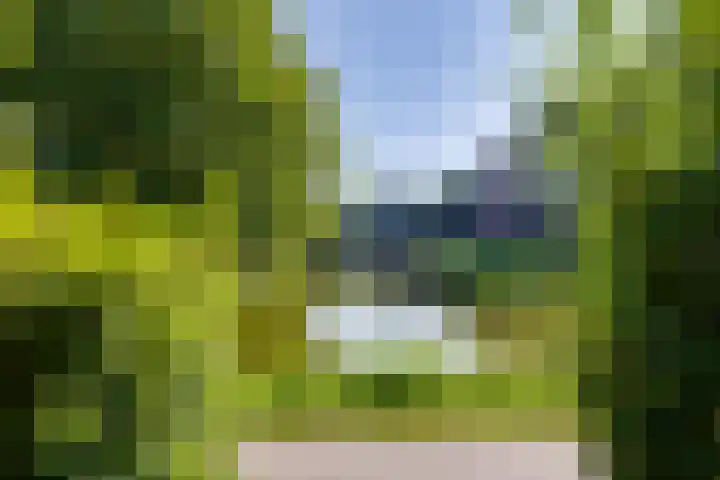 Den Koem 40 Groenlo thumbnail 57