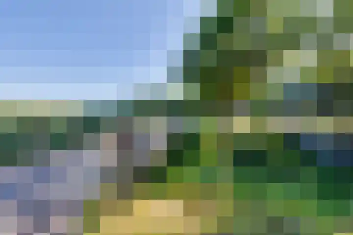 Den Koem 40 Groenlo thumbnail 58