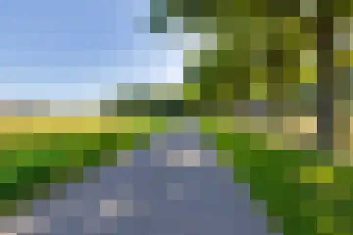 Den Koem 40 Groenlo thumbnail 59