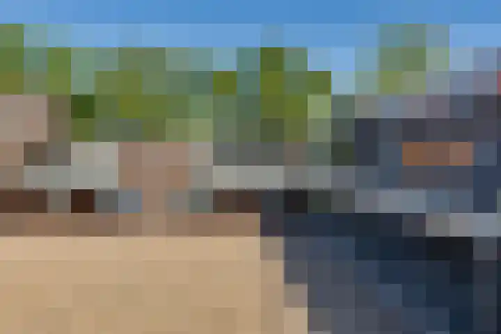 Den Koem 40 Groenlo thumbnail 6