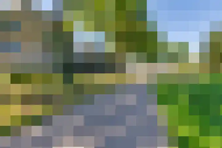 Den Koem 40 Groenlo thumbnail 60