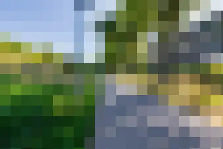 Den Koem 40 Groenlo thumbnail 61