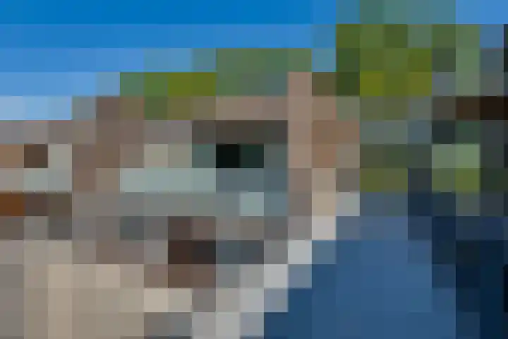 Den Koem 40 Groenlo thumbnail 8