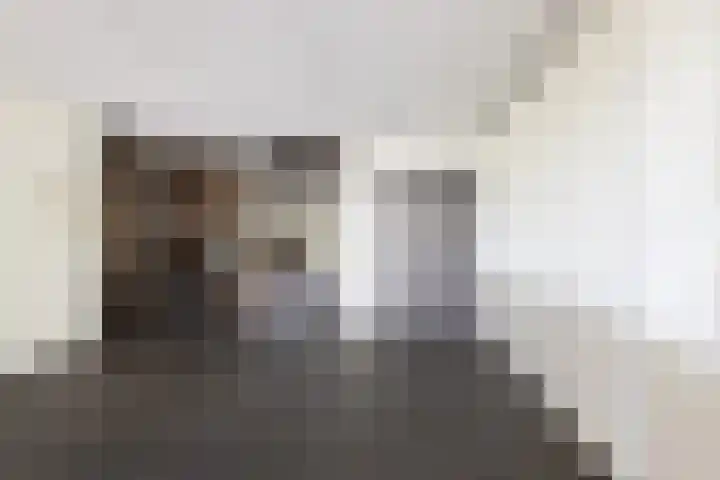 Den Koem 94 Groenlo thumbnail 30