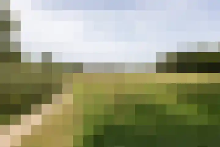 Den Koem 94 Groenlo thumbnail 38