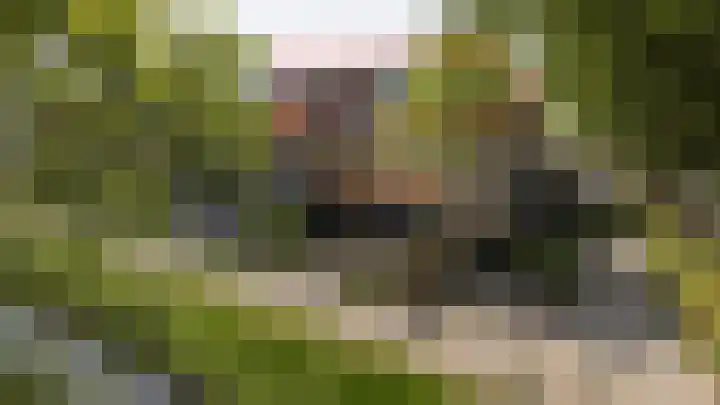 Den Koem 94 Groenlo thumbnail 45