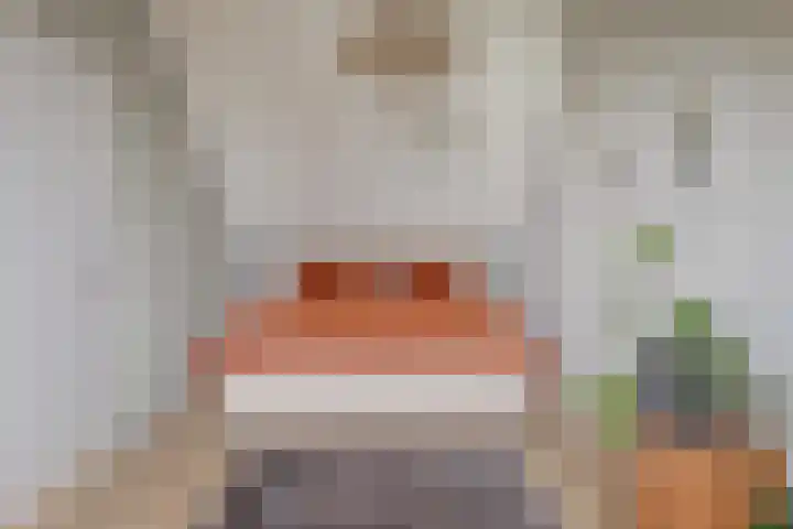 Den Oeverlaan 84 Volendam thumbnail 38