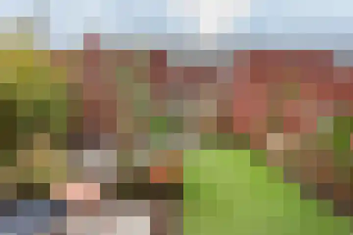 Den Oeverlaan 84 Volendam thumbnail 42