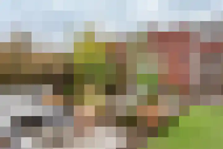 Den Oeverlaan 84 Volendam thumbnail 45