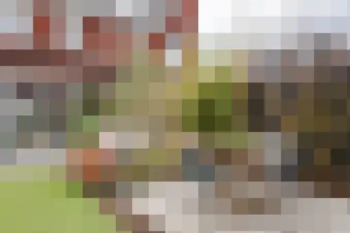 Den Oeverlaan 84 Volendam thumbnail 46