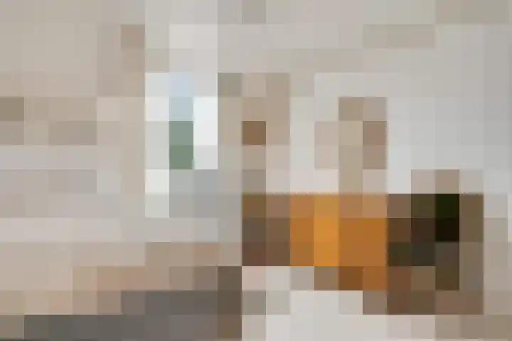 Den Olieberg 32 Meerssen thumbnail 14
