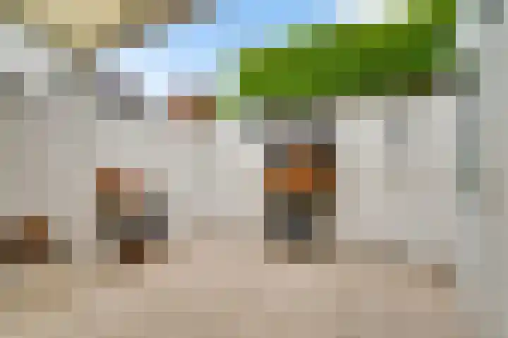 Den Olieberg 32 Meerssen thumbnail 17