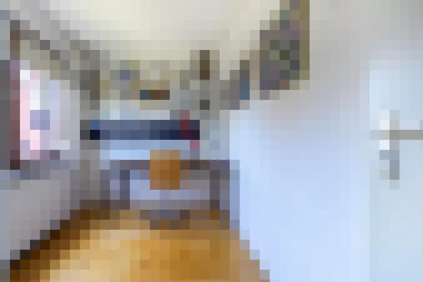 Den Olieberg 34 Meerssen thumbnail 20