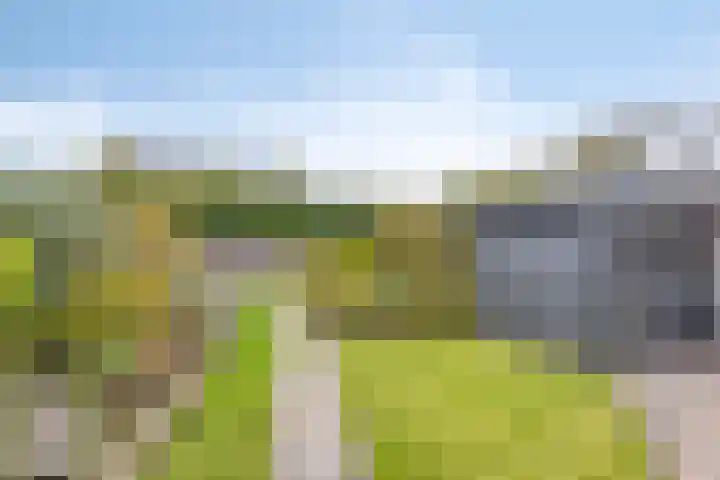 Den Omloop 15 's-Heer Hendrikskinderen thumbnail 26