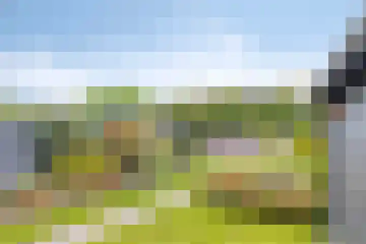 Den Omloop 15 's-Heer Hendrikskinderen thumbnail 27