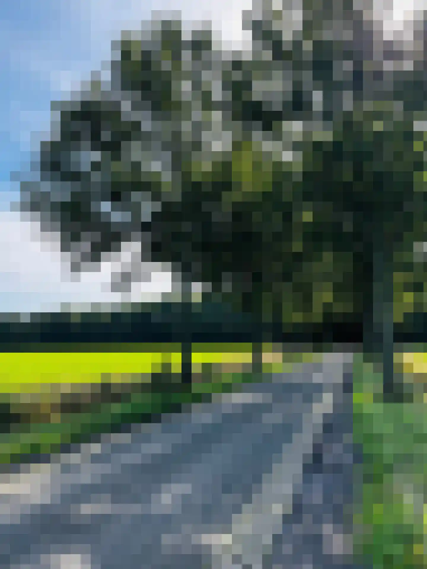 Den Ong 100 Ravenstein thumbnail 6