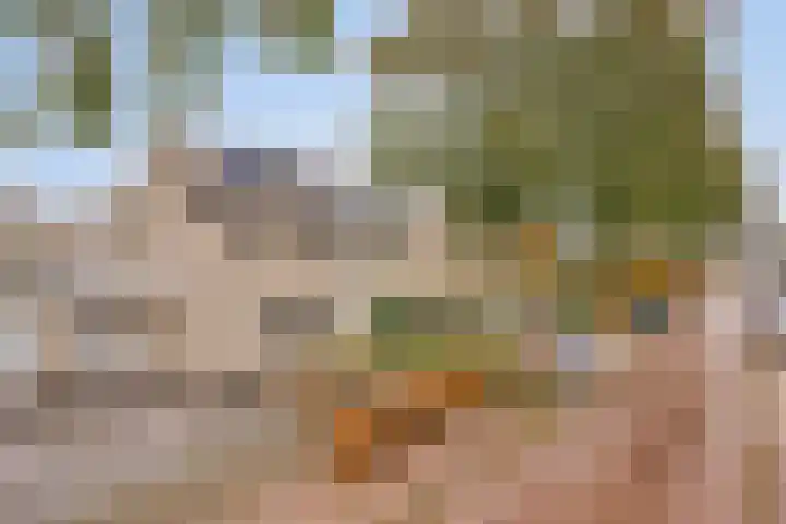 Den Ong 22 Ravenstein thumbnail 10