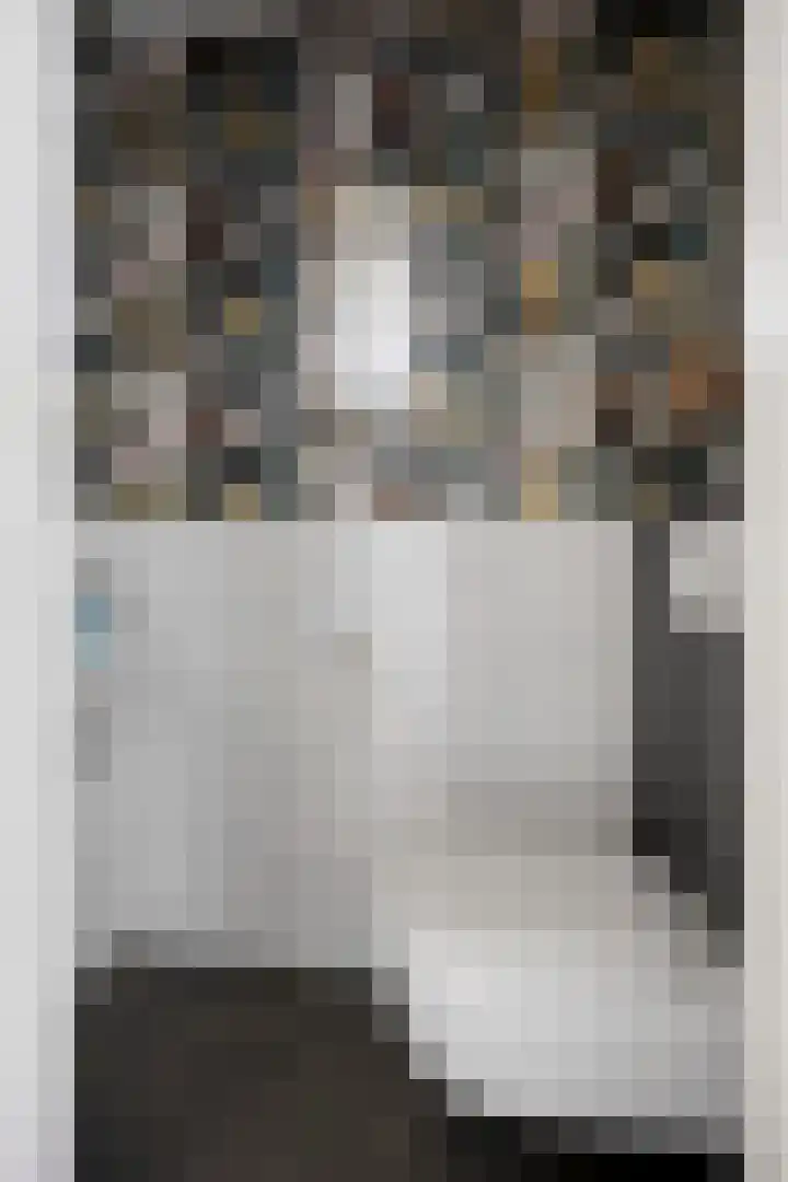 Den Ong 22 Ravenstein thumbnail 11