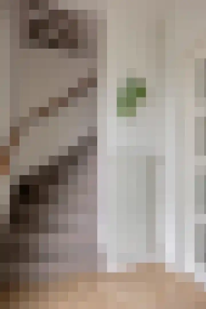Den Ong 22 Ravenstein thumbnail 12