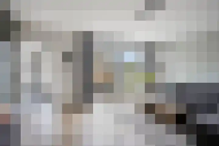 Den Ong 22 Ravenstein thumbnail 16