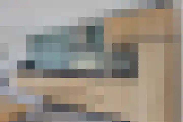 Den Ong 22 Ravenstein thumbnail 19
