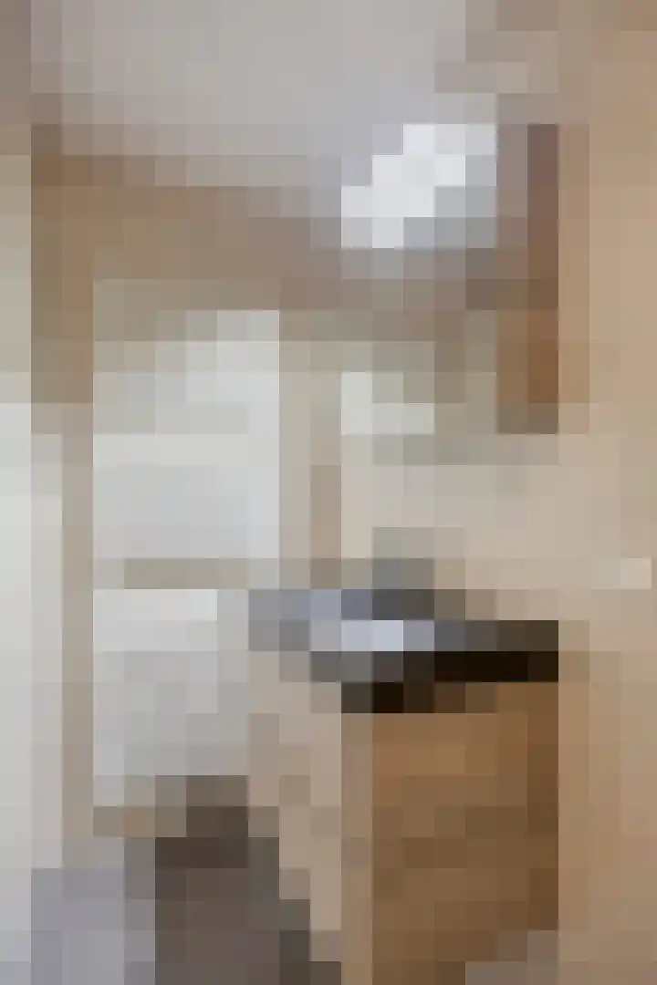 Den Ong 22 Ravenstein thumbnail 31