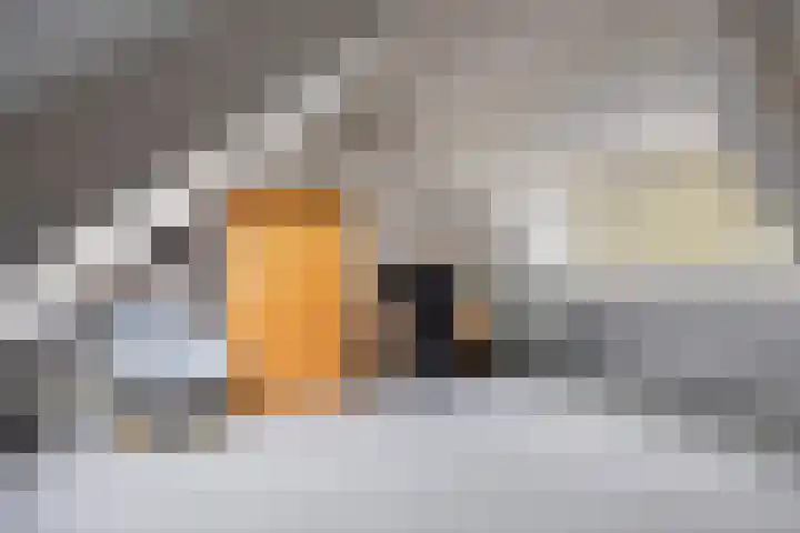 Den Ong 22 Ravenstein thumbnail 35