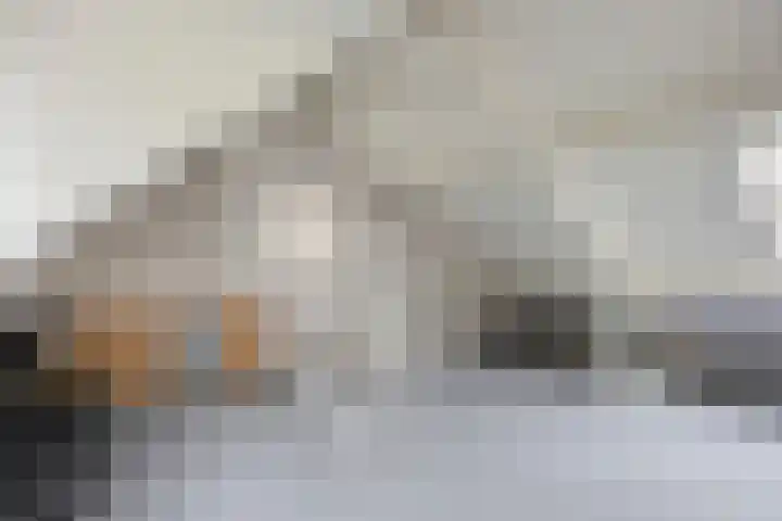 Den Ong 22 Ravenstein thumbnail 36
