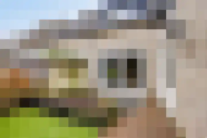 Den Ong 22 Ravenstein thumbnail 38