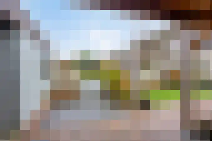 Den Ong 22 Ravenstein thumbnail 41
