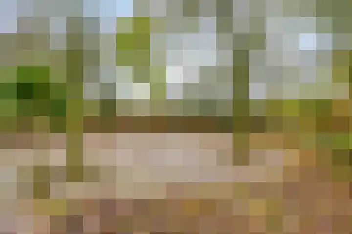 Den Ong 22 Ravenstein thumbnail 42