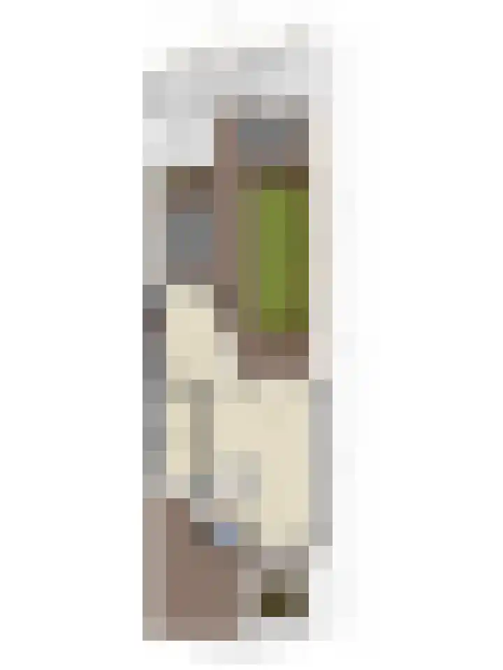 Den Ong 22 Ravenstein thumbnail 44