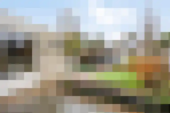 Den Ong 22 Ravenstein thumbnail 5