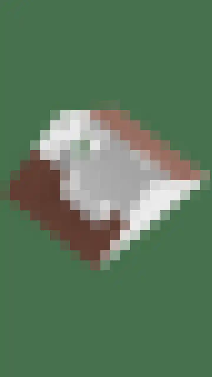 Den Ong 22 Ravenstein thumbnail 51