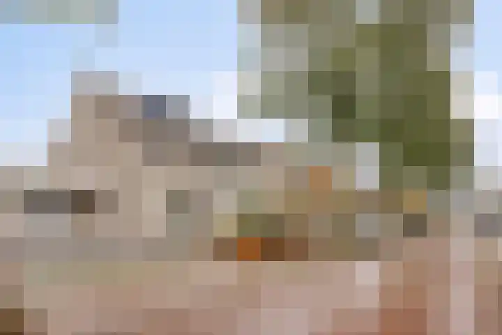 Den Ong 22 Ravenstein thumbnail 7