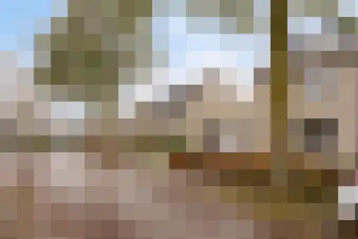 Den Ong 22 Ravenstein thumbnail 8