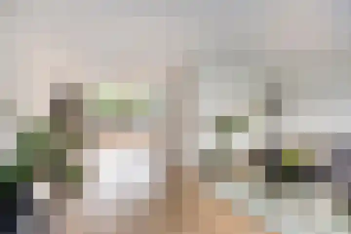 Den Ong 5 Ravenstein thumbnail 10