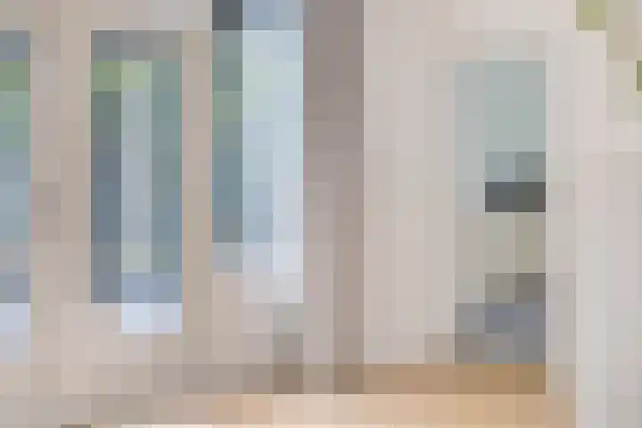 Den Ong 5 Ravenstein thumbnail 12
