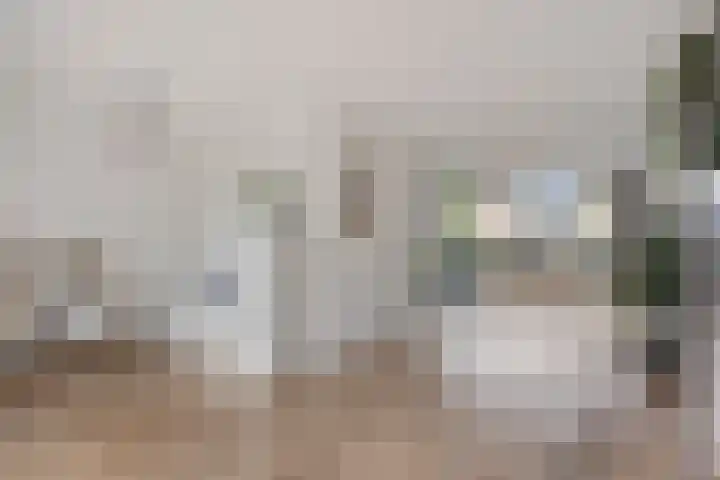 Den Ong 5 Ravenstein thumbnail 13