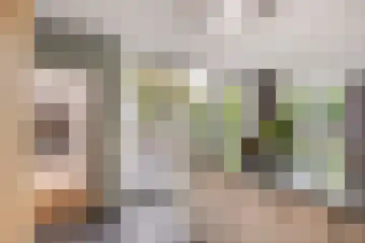 Den Ong 5 Ravenstein thumbnail 15