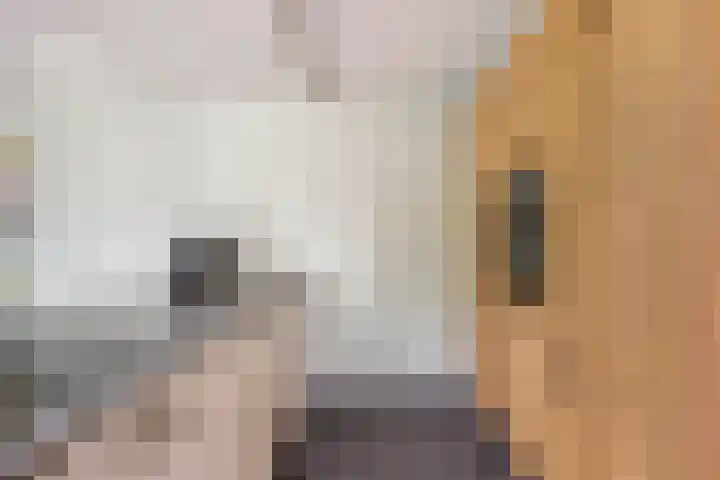Den Ong 5 Ravenstein thumbnail 17