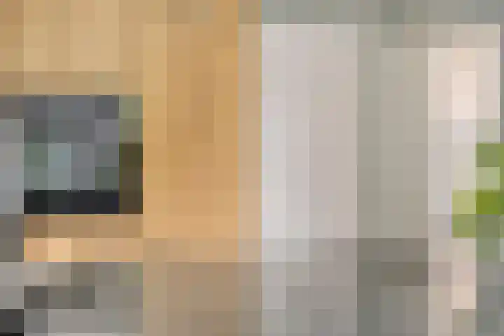 Den Ong 5 Ravenstein thumbnail 18