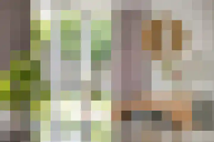 Den Ong 5 Ravenstein thumbnail 20